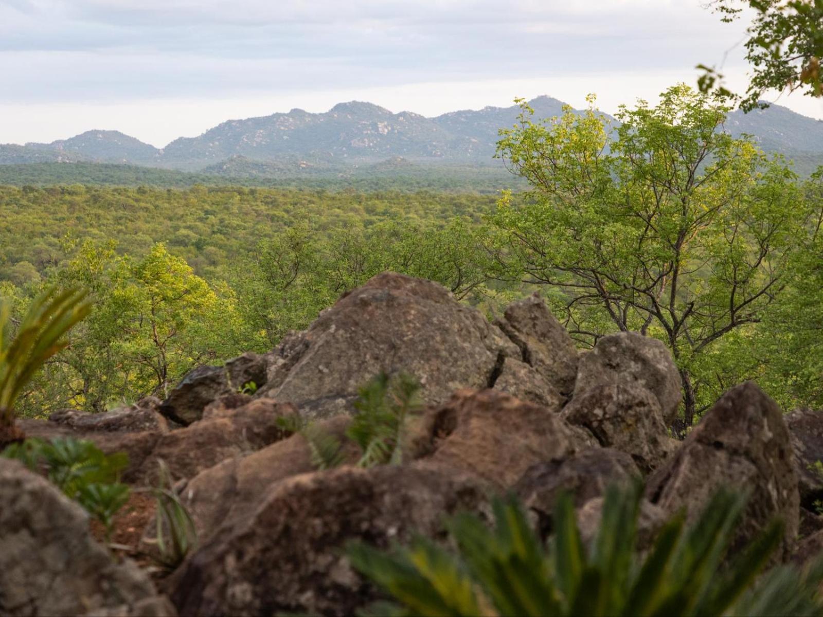 Apartmán Bushveld Bivouac Private Camp Mica Pokoj fotografie
