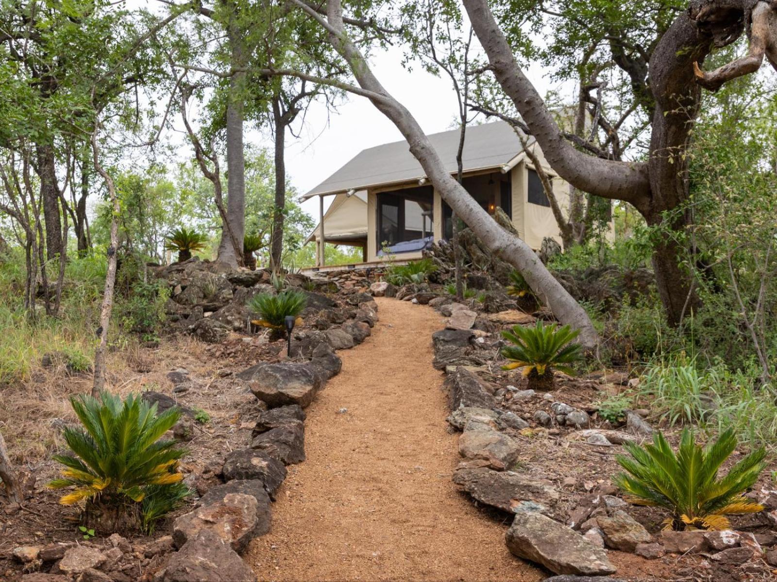 Apartmán Bushveld Bivouac Private Camp Mica Pokoj fotografie